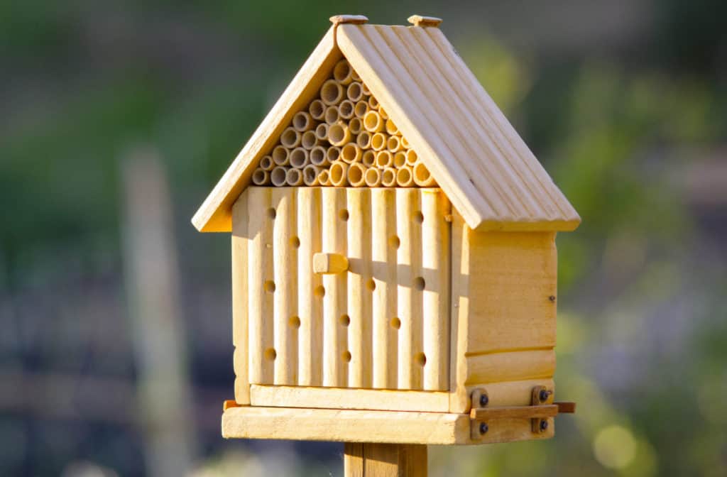 Ladybug house