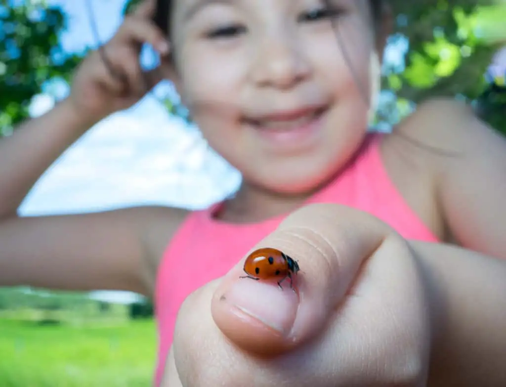 Small child holding a ladybug