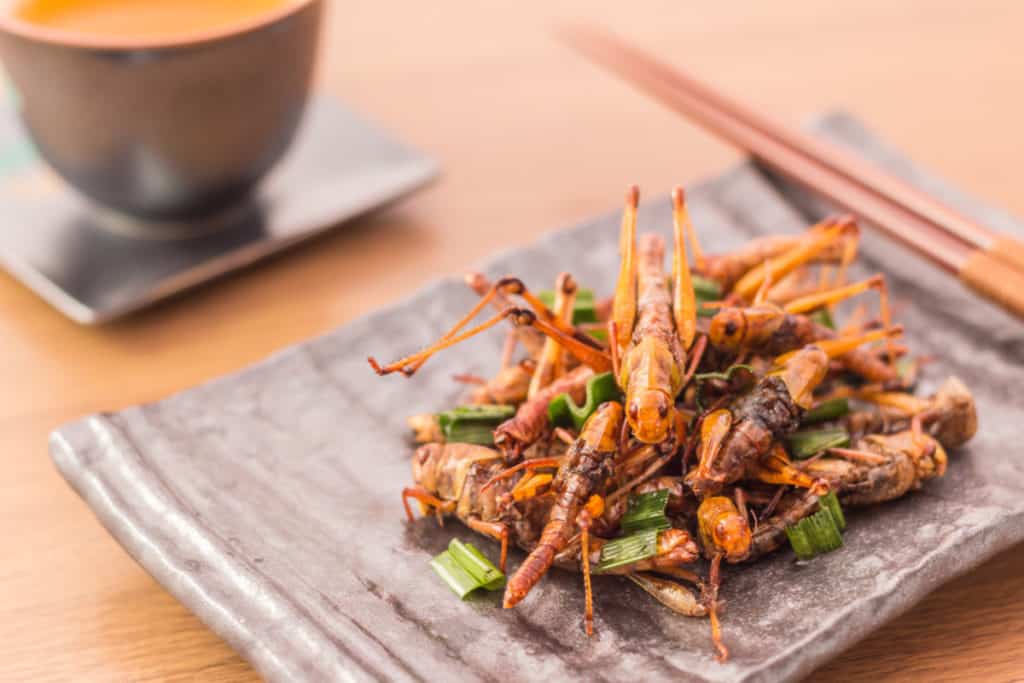 Grasshoppers as a meal